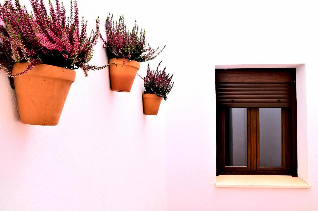 Apartamentos Turisticos Mamelon Jerez de la Frontera Buitenkant foto